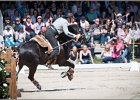 Pferd International 089